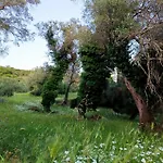 Villa Elm